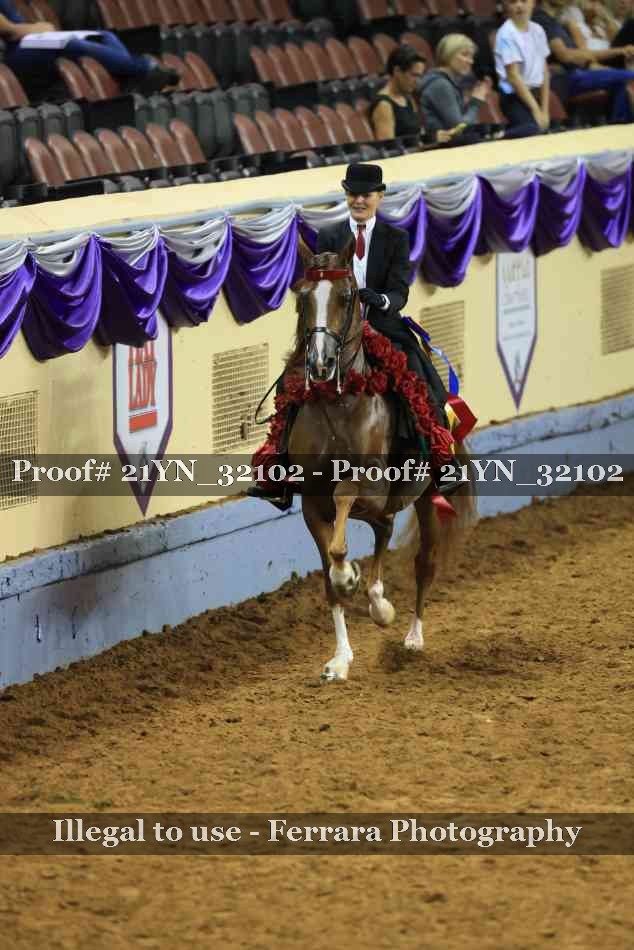 Proof Number 21YN_32102