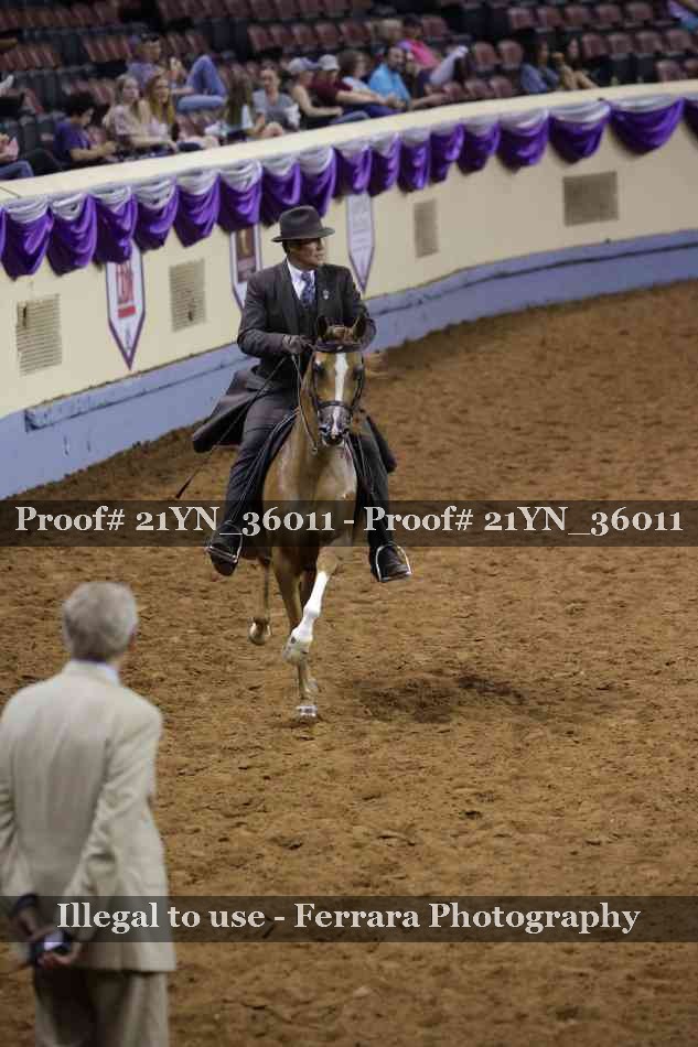 Proof Number 21YN_36011