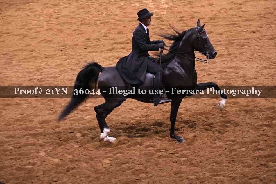 Proof Number 21YN_36044