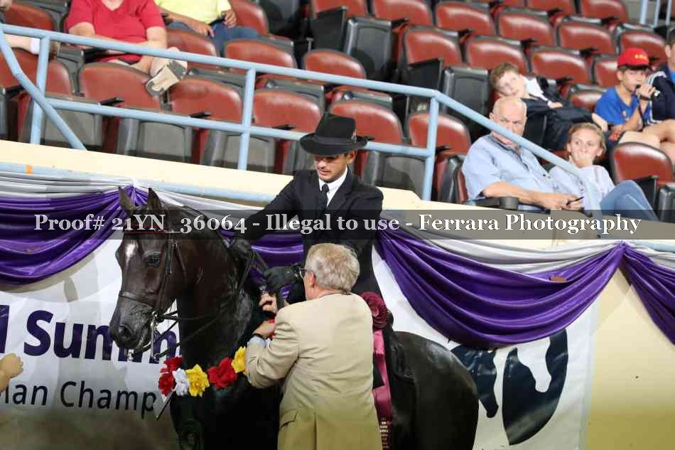 Proof Number 21YN_36064