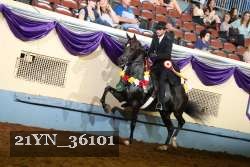 21YN_36101 thumbnail