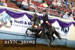 21YN_36102 thumbnail