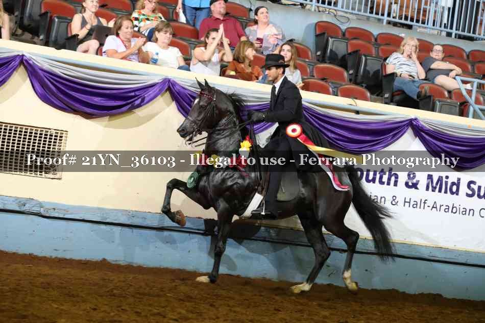 Proof Number 21YN_36103