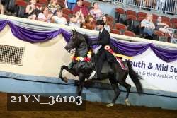 21YN_36103 thumbnail