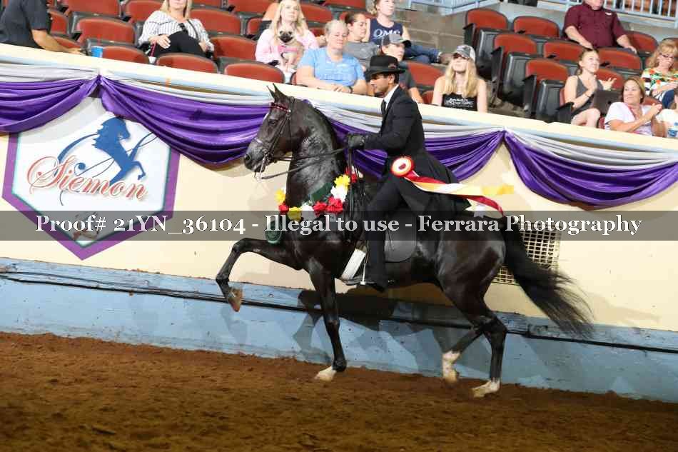 Proof Number 21YN_36104