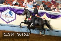 21YN_36104 thumbnail