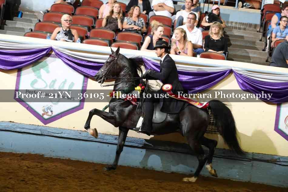 Proof Number 21YN_36105