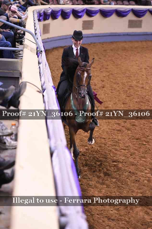 Proof Number 21YN_36106
