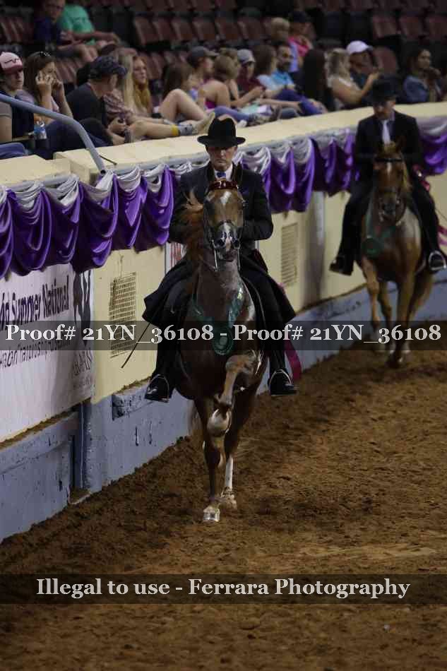 Proof Number 21YN_36108