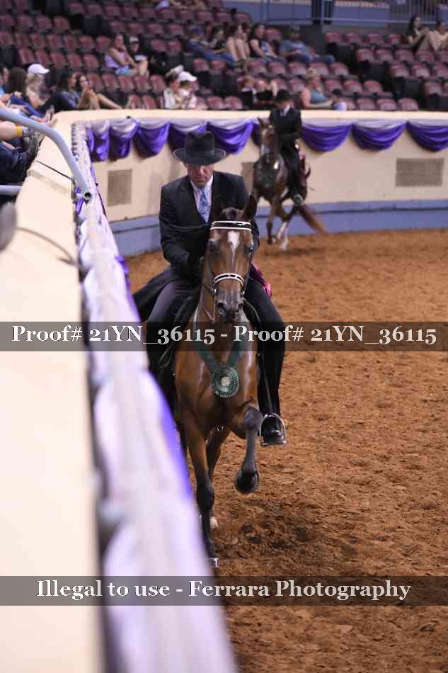 Proof Number 21YN_36115