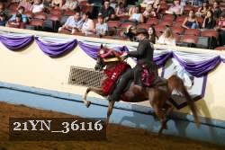 21YN_36116 thumbnail