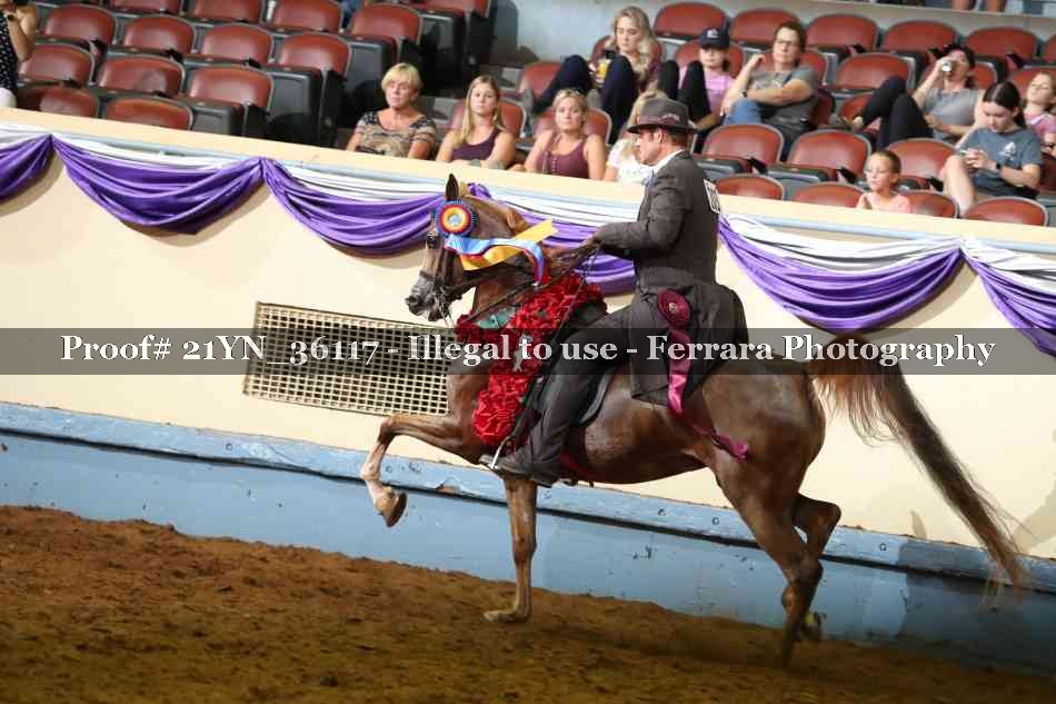 Proof Number 21YN_36117
