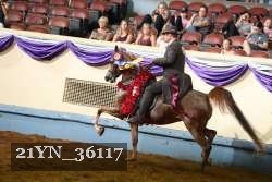 21YN_36117 thumbnail