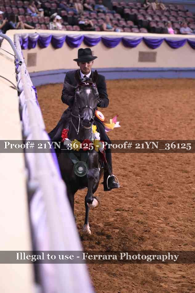 Proof Number 21YN_36125