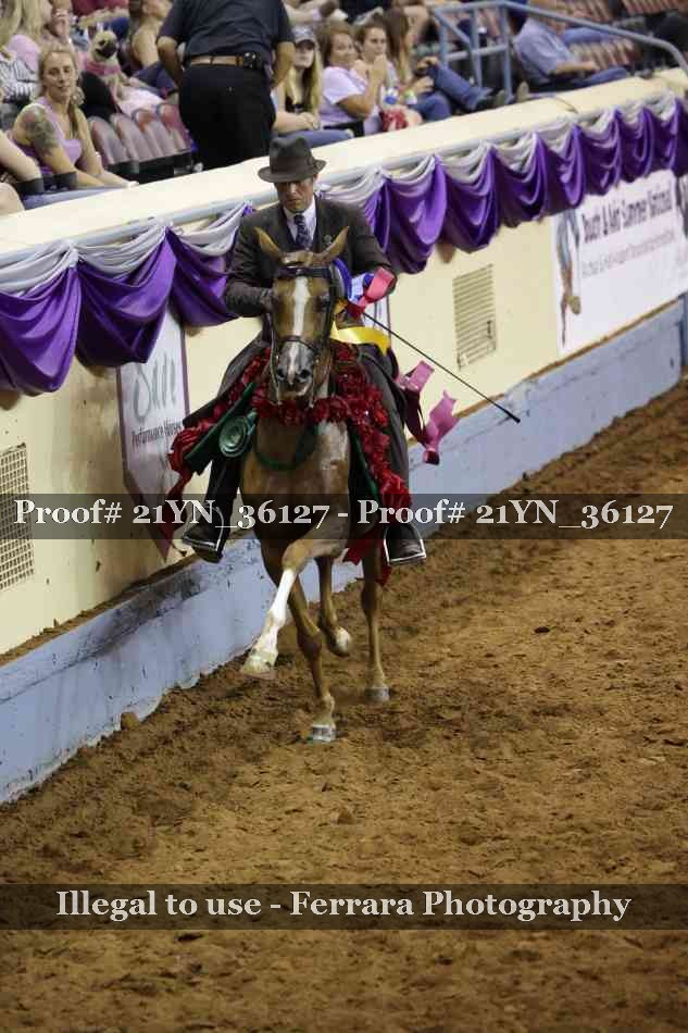 Proof Number 21YN_36127