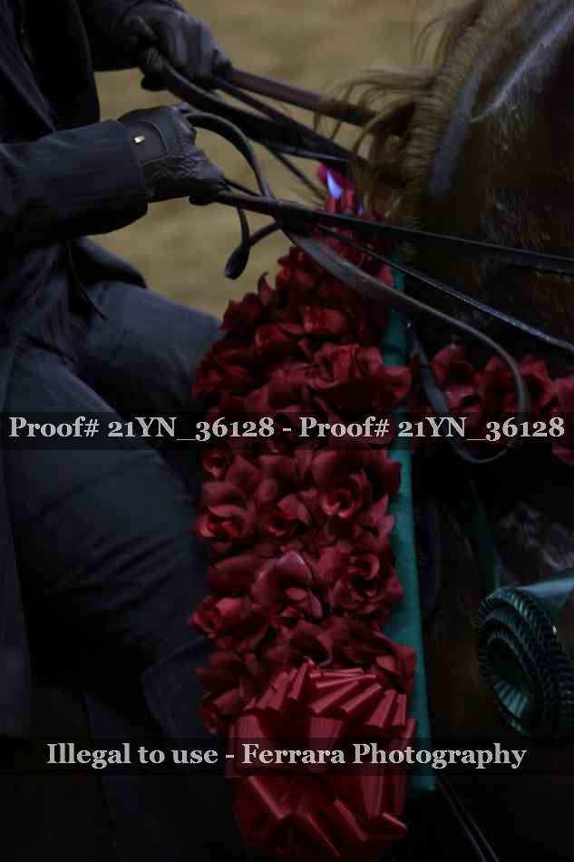 Proof Number 21YN_36128