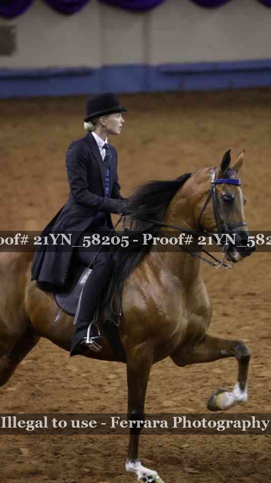 Proof Number 21YN_58205