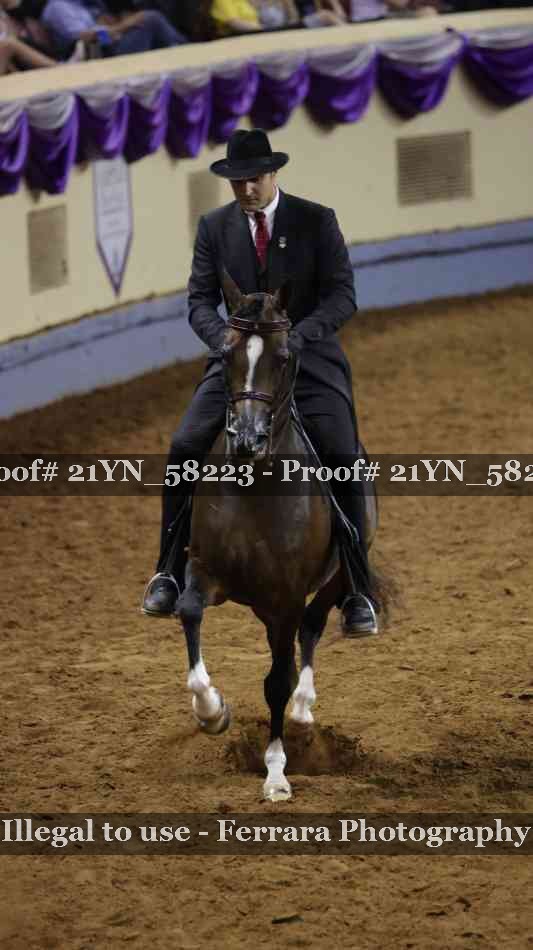 Proof Number 21YN_58223