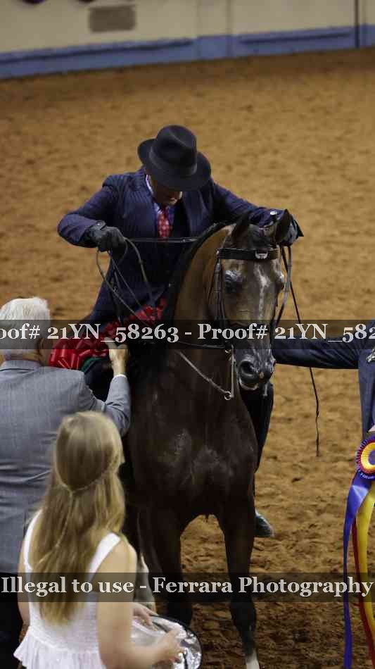 Proof Number 21YN_58263