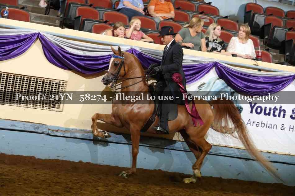 Proof Number 21YN_58274
