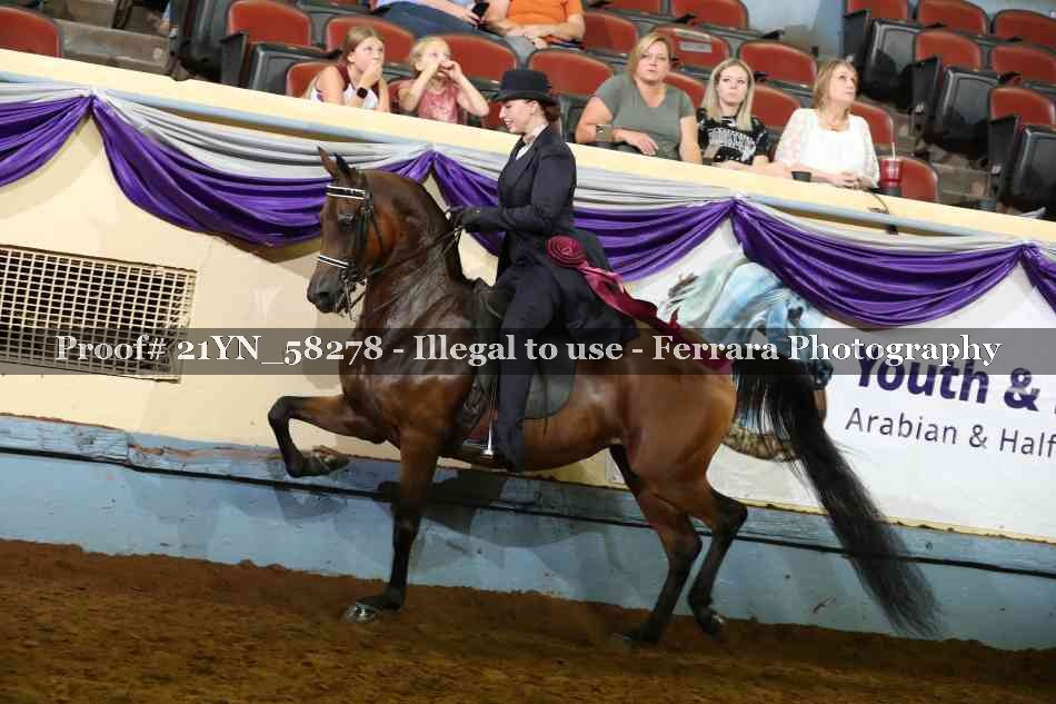 Proof Number 21YN_58278