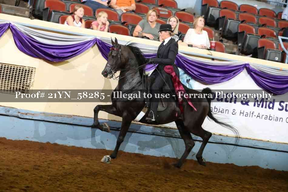 Proof Number 21YN_58285