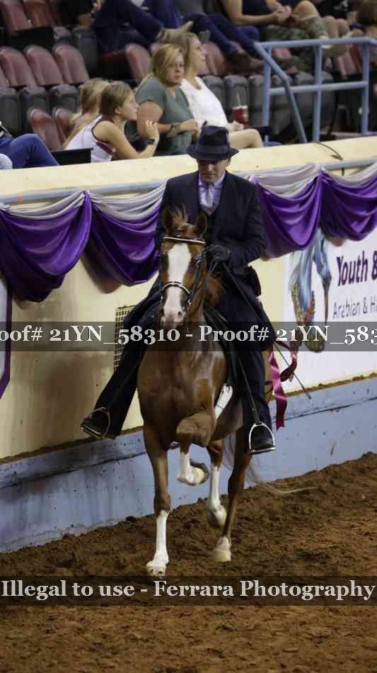 Proof Number 21YN_58310