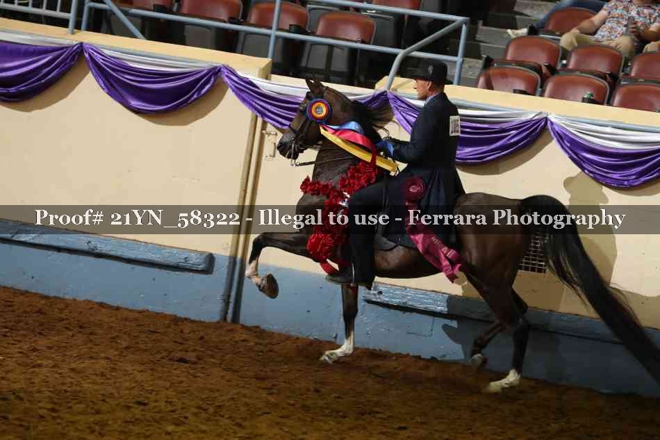 Proof Number 21YN_58322