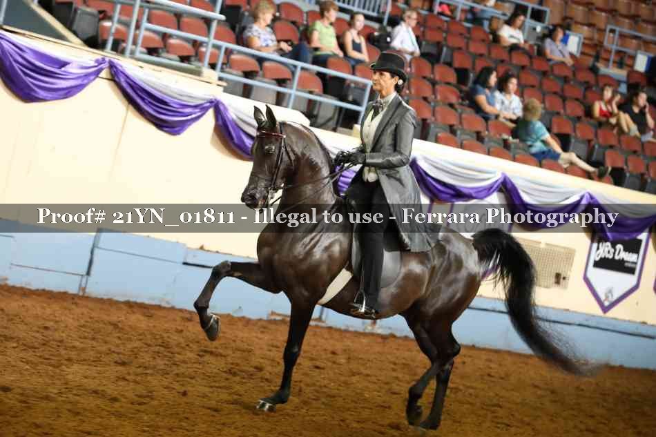 Proof Number 21YN_01811