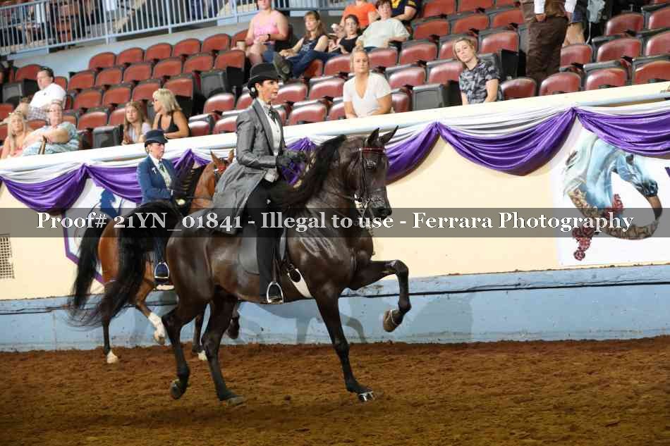 Proof Number 21YN_01841