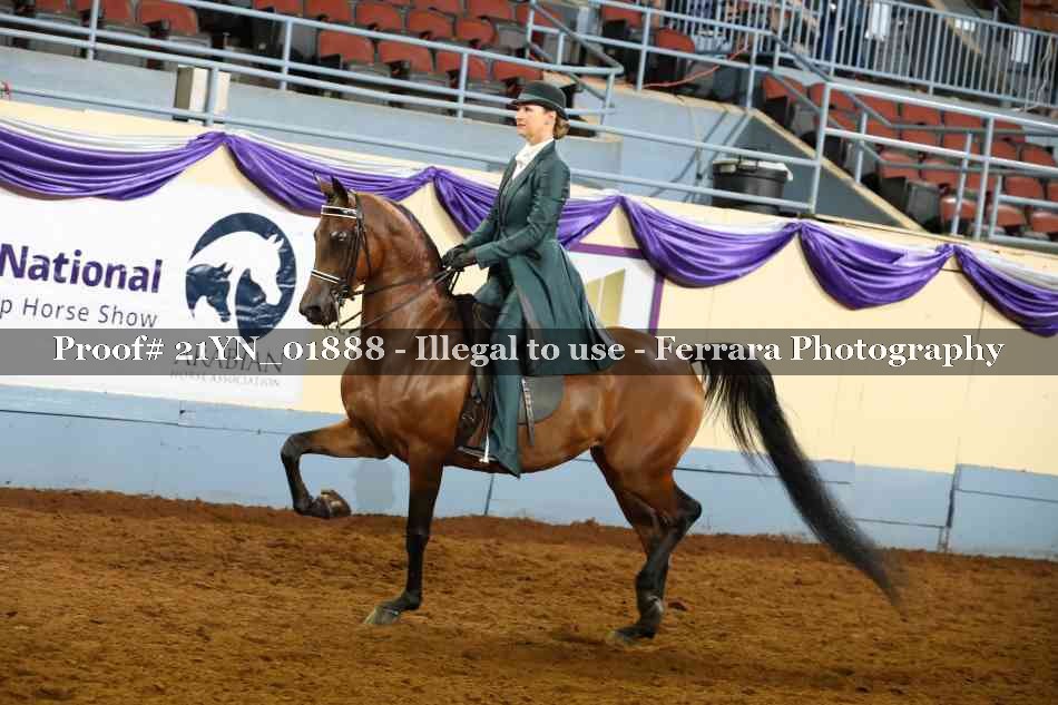 Proof Number 21YN_01888