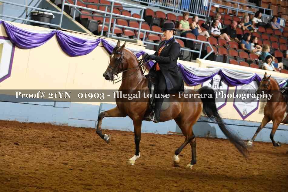 Proof Number 21YN_01903