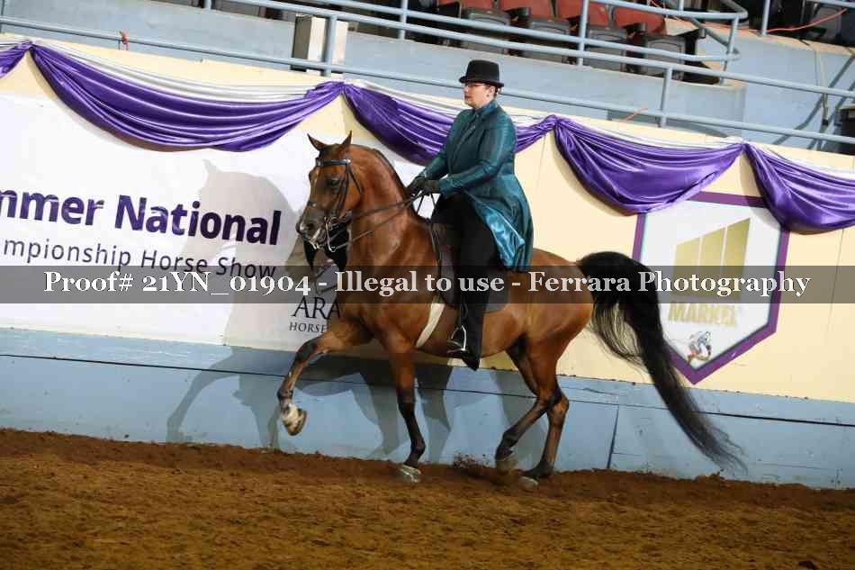 Proof Number 21YN_01904