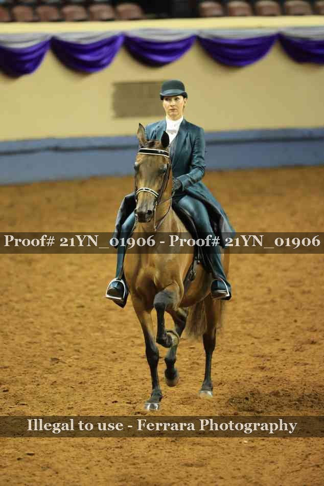 Proof Number 21YN_01906