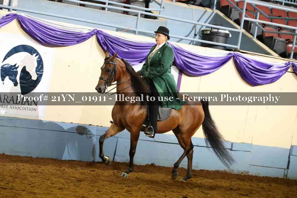 Proof Number 21YN_01911