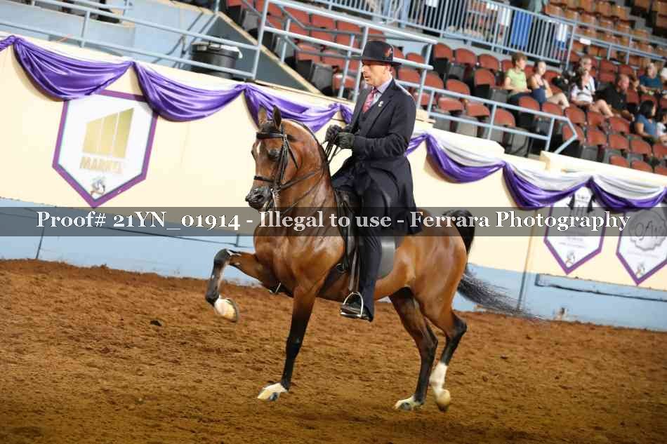 Proof Number 21YN_01914