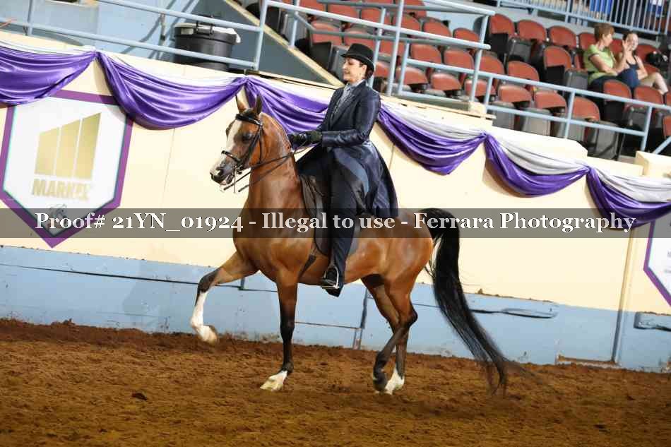 Proof Number 21YN_01924