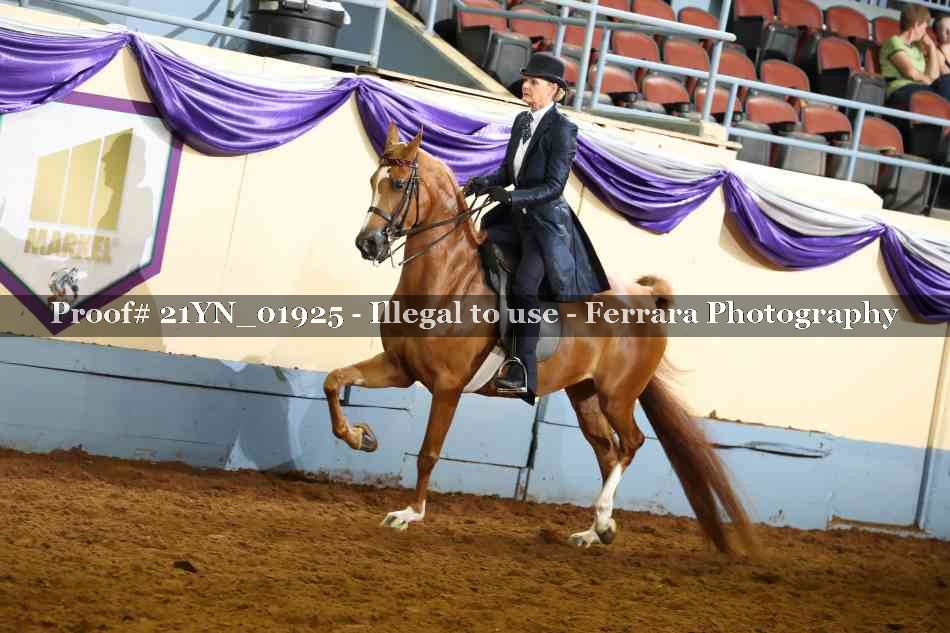 Proof Number 21YN_01925