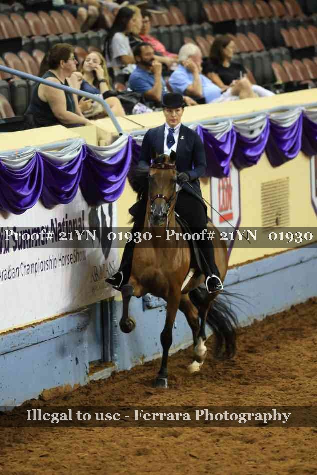 Proof Number 21YN_01930