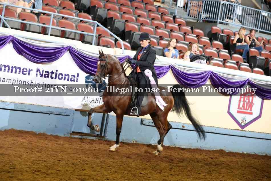 Proof Number 21YN_01960