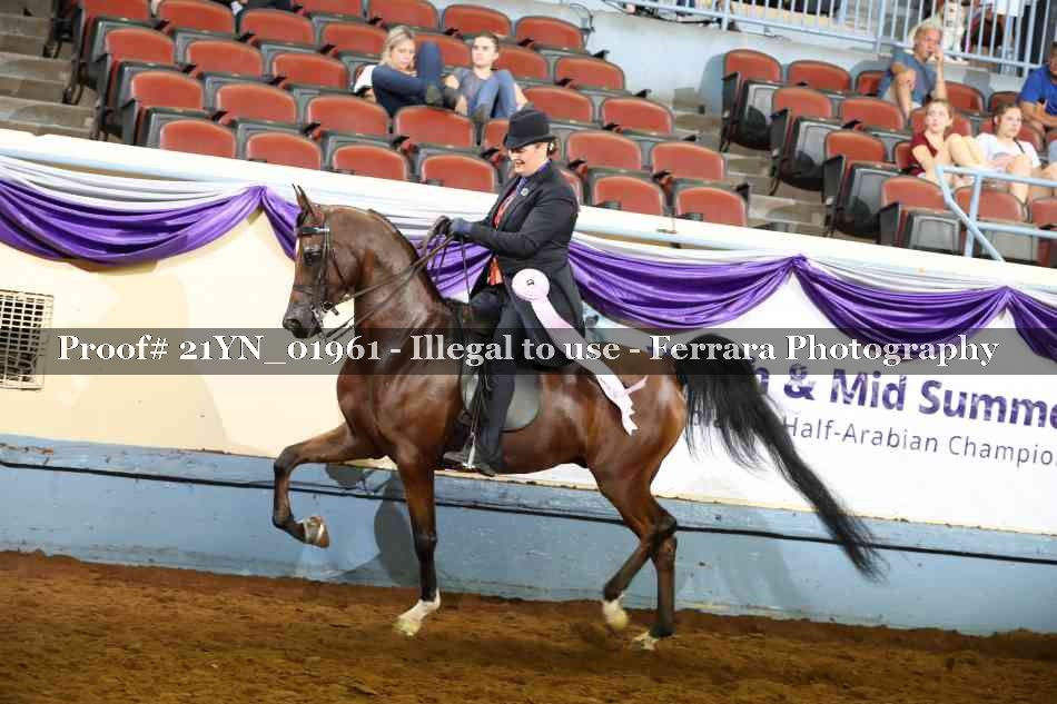 Proof Number 21YN_01961