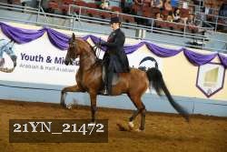 21YN_21472 thumbnail