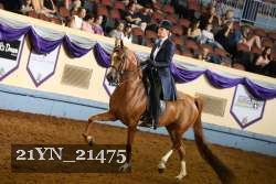 21YN_21475 thumbnail