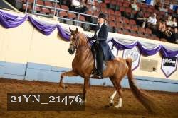 21YN_21476 thumbnail