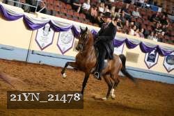 21YN_21478 thumbnail