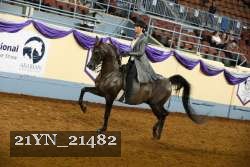 21YN_21482 thumbnail