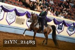 21YN_21483 thumbnail