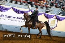 21YN_21484 thumbnail