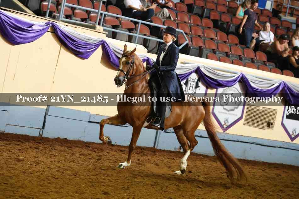 Proof Number 21YN_21485