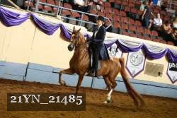 21YN_21485 thumbnail